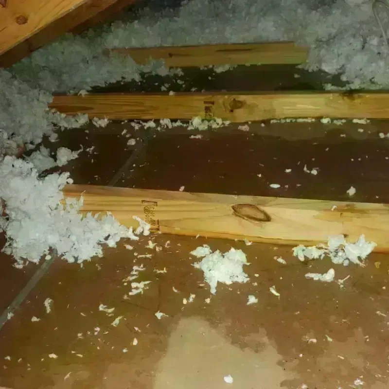 Attic Water Damage in Marion County, TX