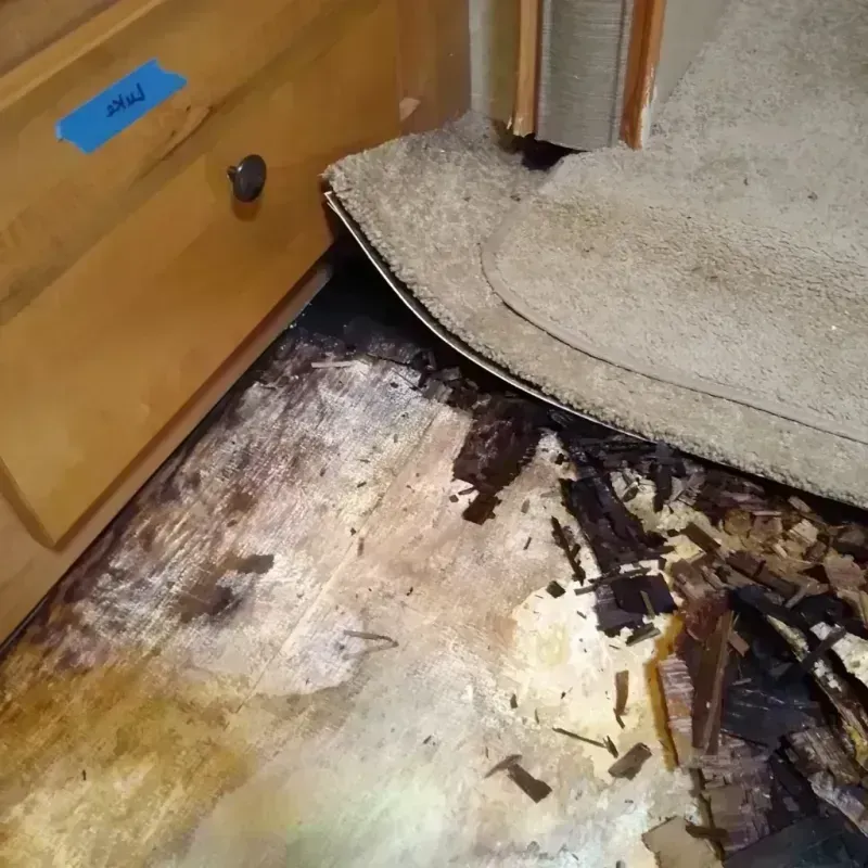 Wood Floor Water Damage in Marion County, TX